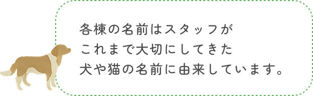各棟の名前はスタッフがこれまで大切にしてきた犬や猫の名前に由来してます。