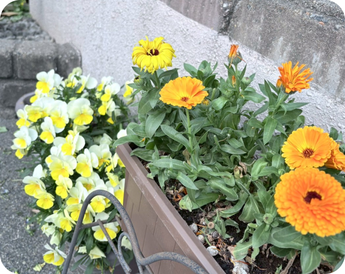きらりはーとの花壇