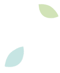 葉っぱのイラスト